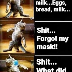 Meet your Posher, Jihee